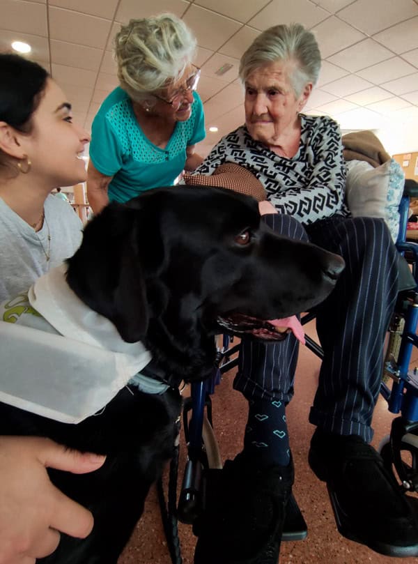 Anciana en silla de ruedas con dos cuidadoras y perro guía.