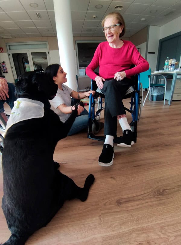 Mujer en silla de ruedas compartiendo risas con jóvenes y un perro en un entorno acogedor.