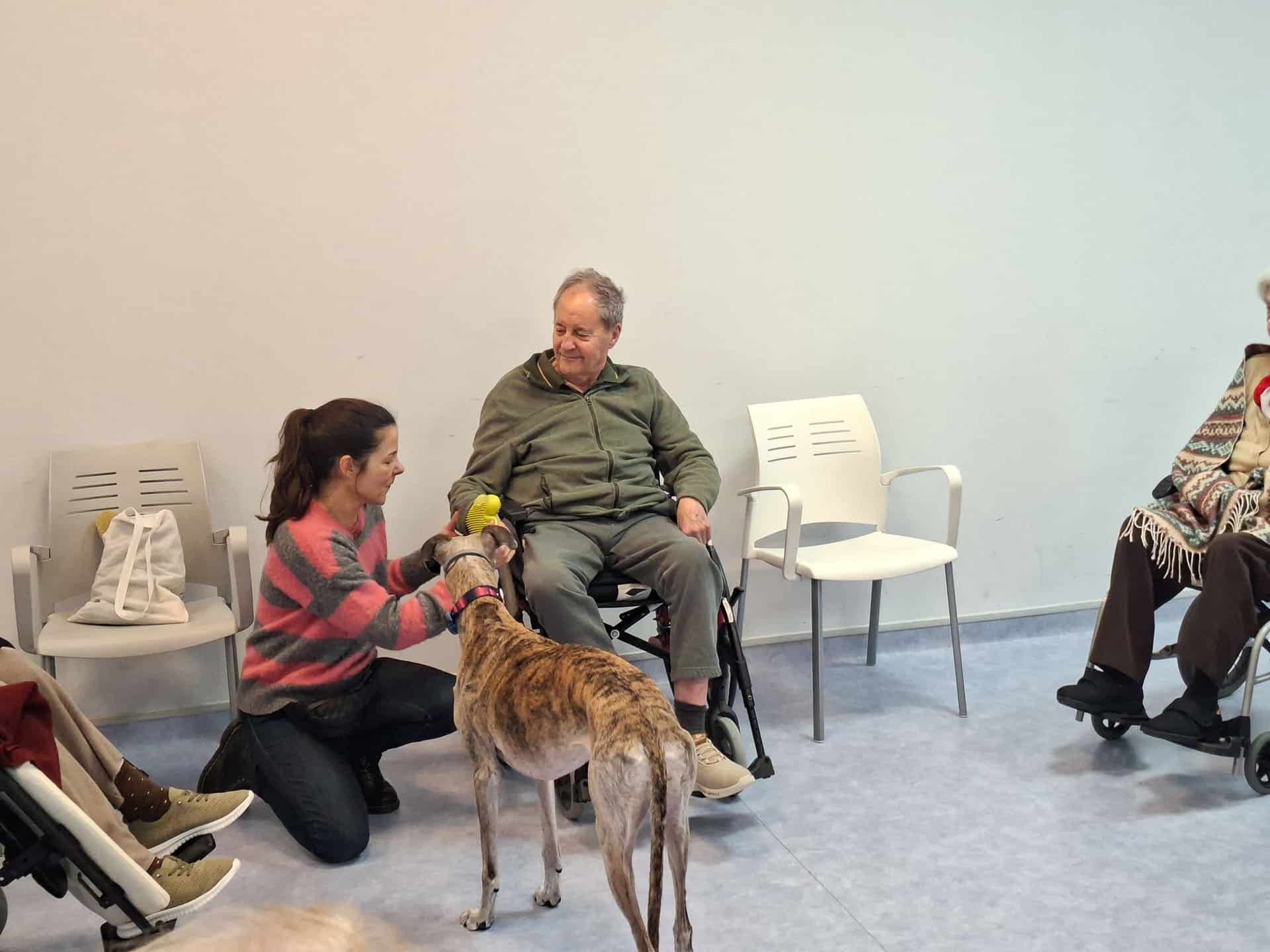 Esta vez en terapia con animales nos visitó un galgo