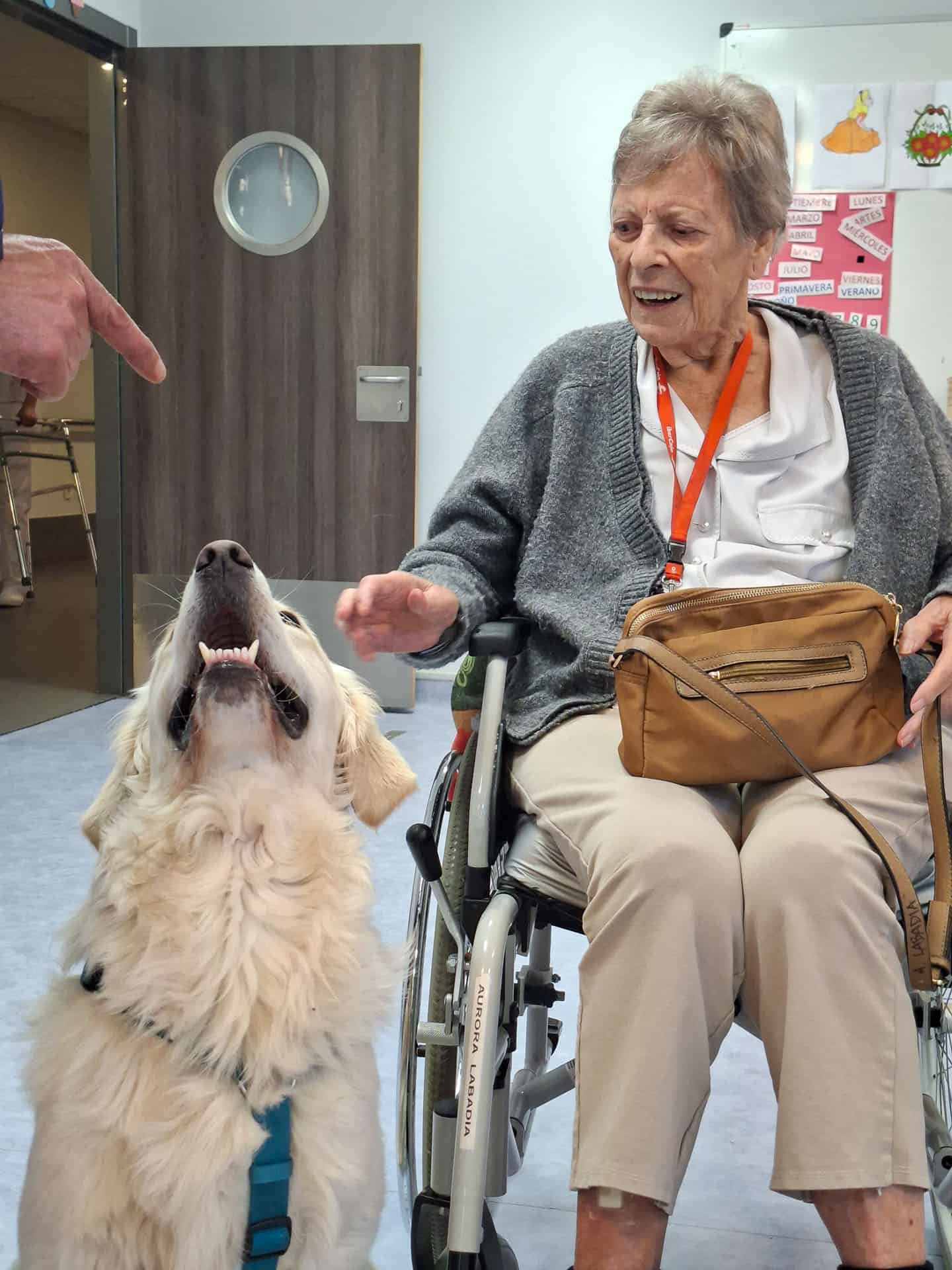 Un labrador blanco también nos visitó
