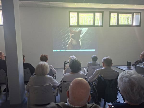 Sesión de cine en la residencia Madrid Edalia