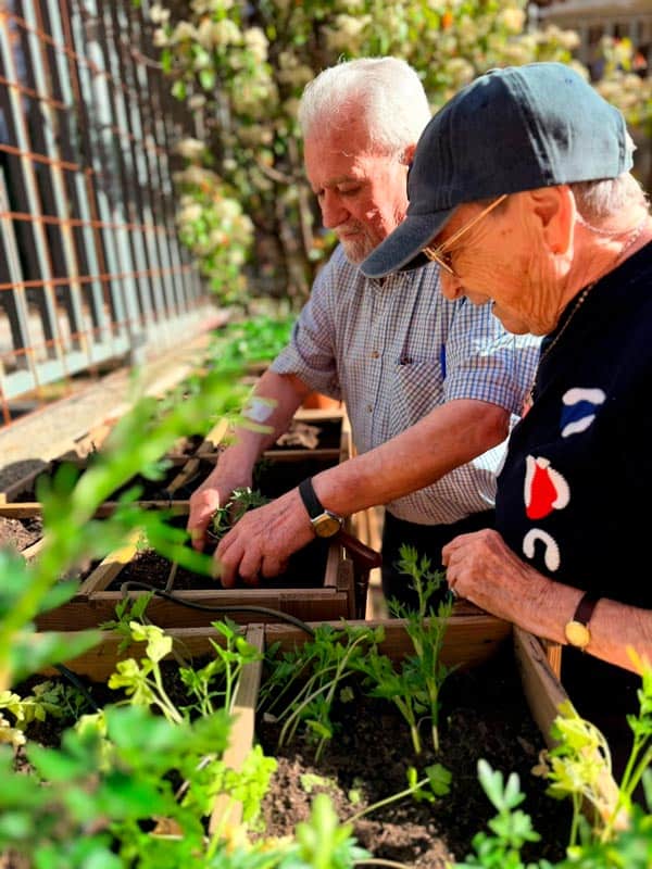 Taller de huerto en la residencia