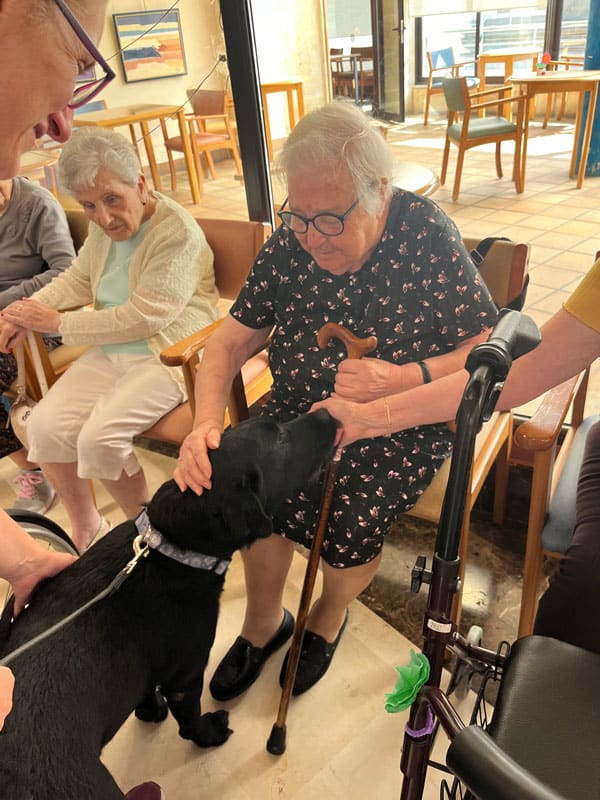 Visita de los perros de terapia al centro