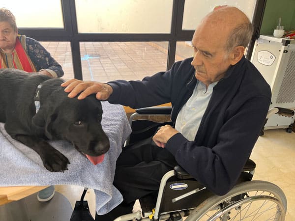 Un residente feliz acariciando a un perrete